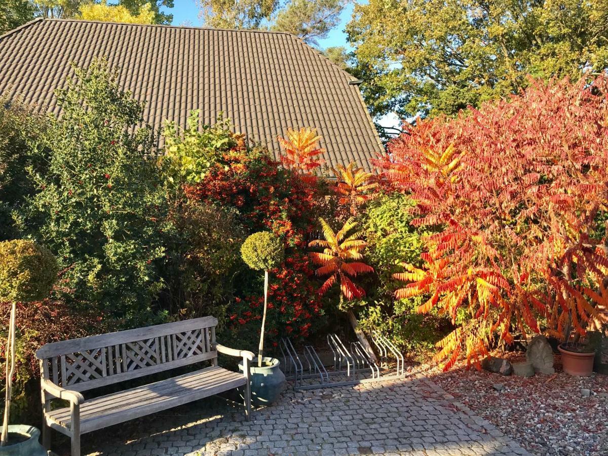 "Steuerbord" By Ferienhaus Strandgut Born Exteriör bild